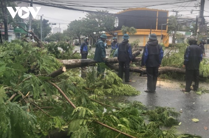 Công nhân môi trường Đà Nẵng ra quân dọn dẹp sau bão - 4