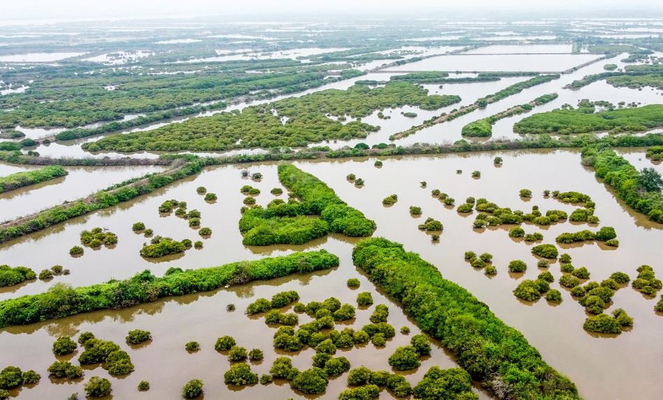 Vị trí, ranh giới, diện tích Khu bảo tồn thiên nhiên đất ngập nước Tiền Hải 