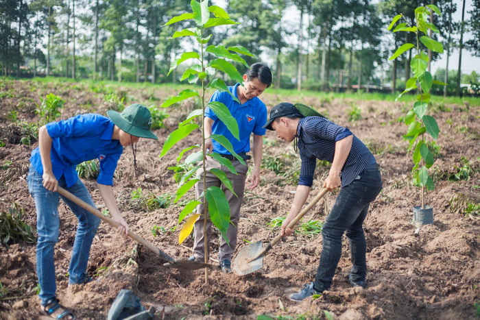 Lực lượng đoàn viên thanh niên Đồng Nai tham gia trồng cây xanh hưởng ứng Ngày Quốc tế đa dạng sinh học năm 2018.