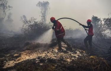 Indonesia phòng ngừa cháy đất than bùn khi chuẩn bị bước vào mùa khô. Ảnh: CNA