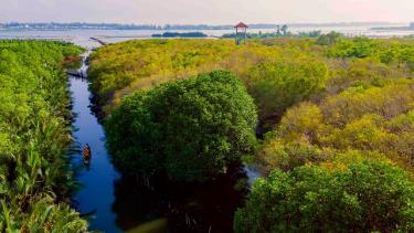 Thừa Thiên – Huế tăng cường bảo tồn đa dạng sinh học