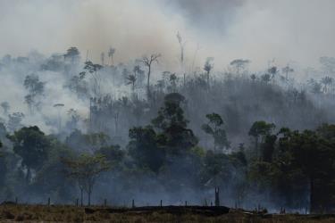 Khói bốc lên từ đám cháy rừng Amazon ở bang Amazonas, Brazil. (Ảnh: AFP)