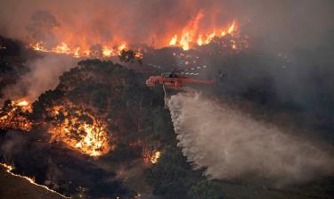 Sự gia tăng các vụ cháy rừng nghiêm trọng đe dọa đến sức khỏe của người dân trên toàn thế giới (Ảnh minh hoạ - Internet)